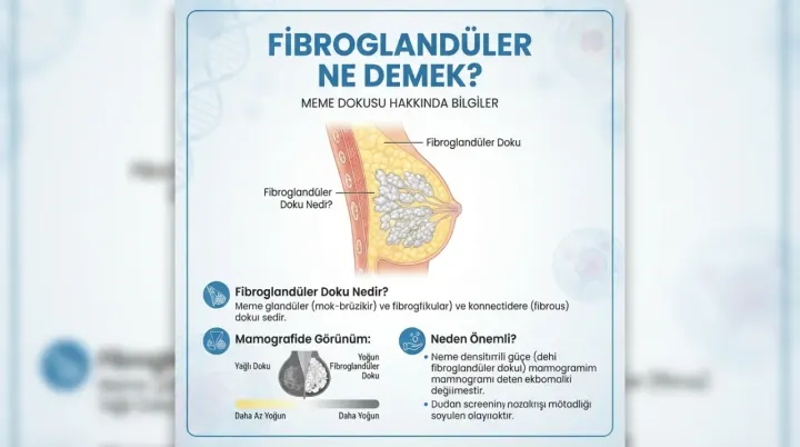 Fibroglandüler Ne Demek?
