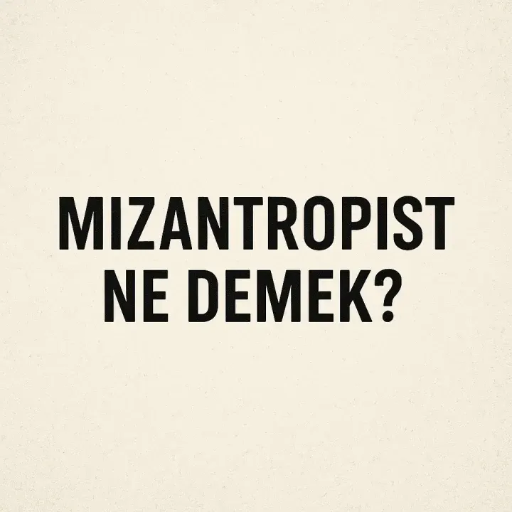 Mizantropist Ne Demek?