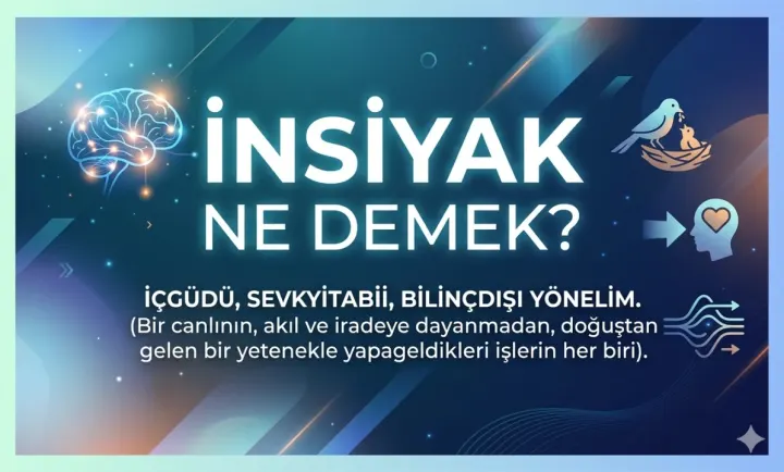 İnsiyak Ne Demek?