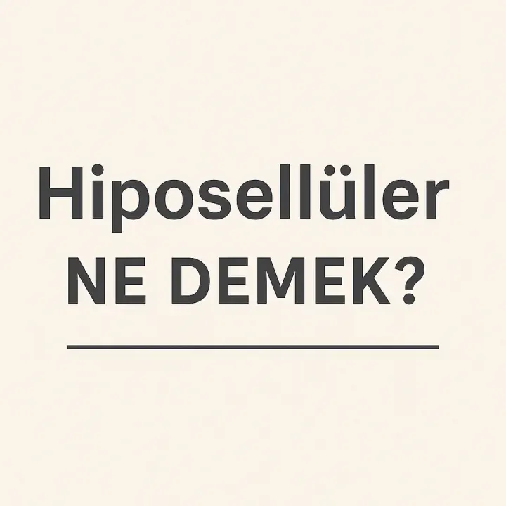 Hiposellüler Ne Demek?