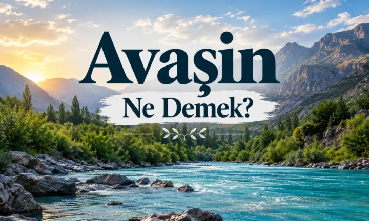 Avaşin Ne Demek?