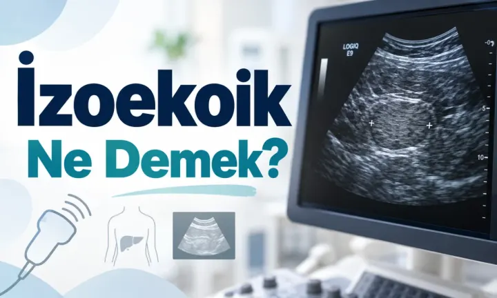 İzoekoik Ne Demek?