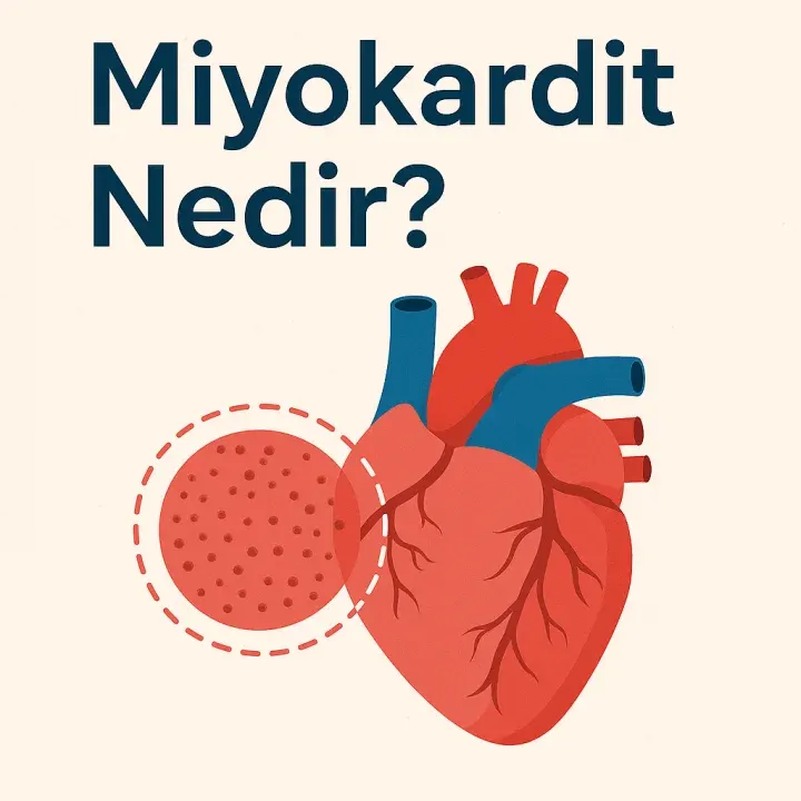 Miyokardit Nedir?