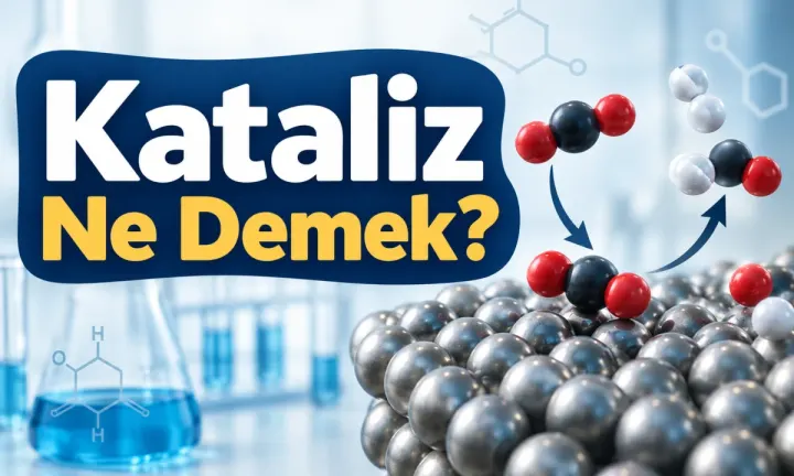Kataliz Ne Demek?