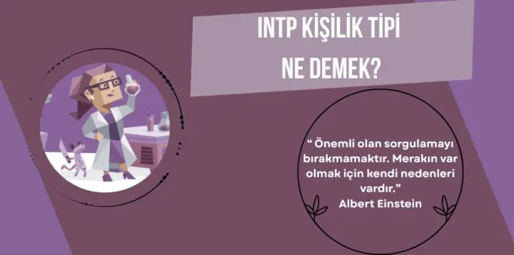 INTP Ne Demek?