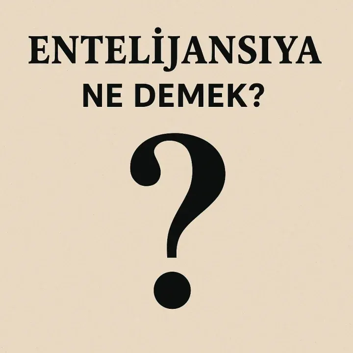 Entelijansiya Ne Demek?
