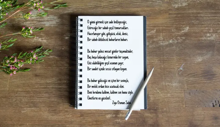 Şiir ne demek?