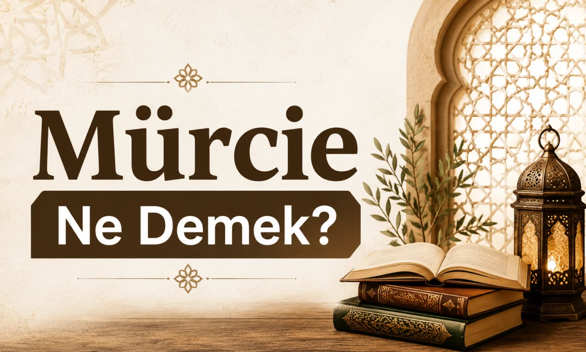 Mürcie Ne Demek?