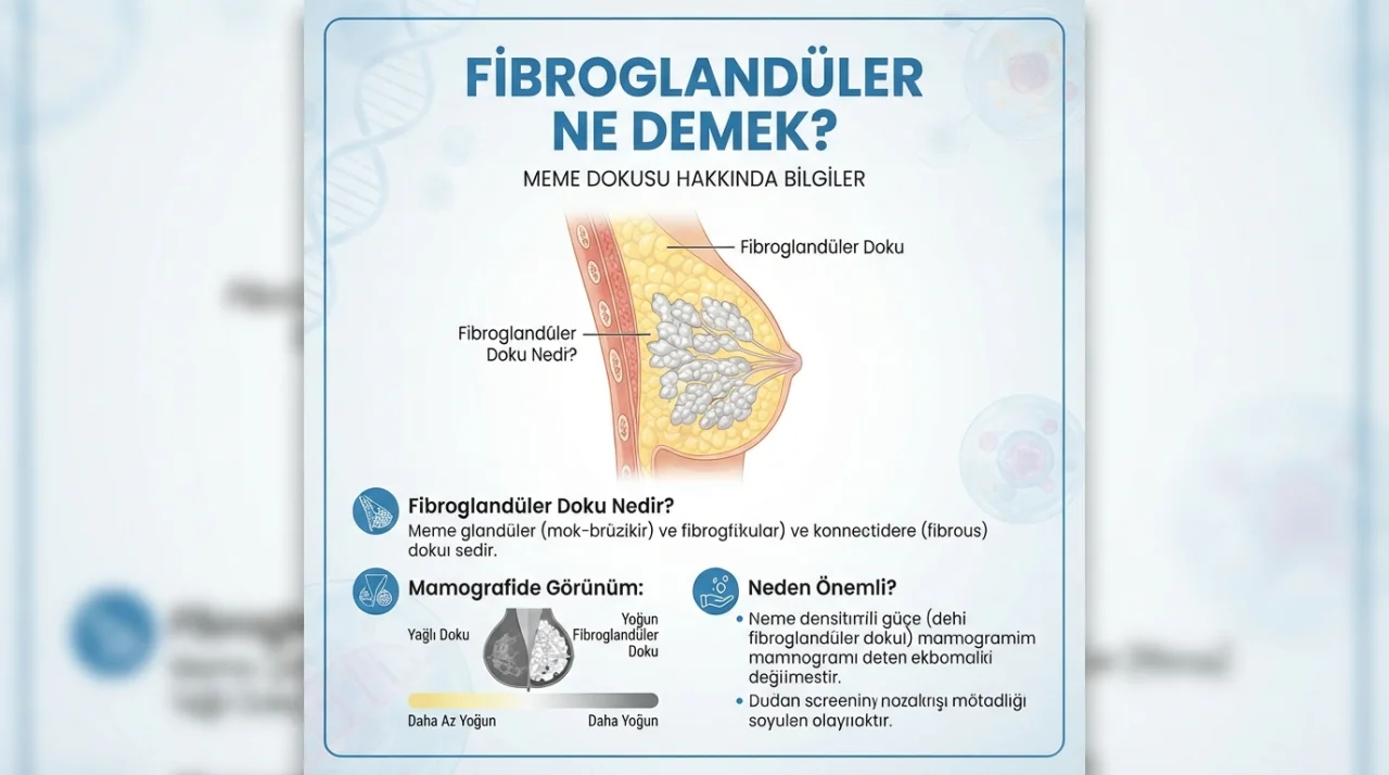 Fibroglandüler Ne Demek?