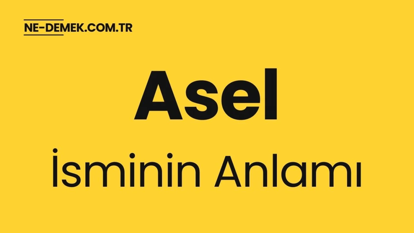 Asel İsminin Anlamı