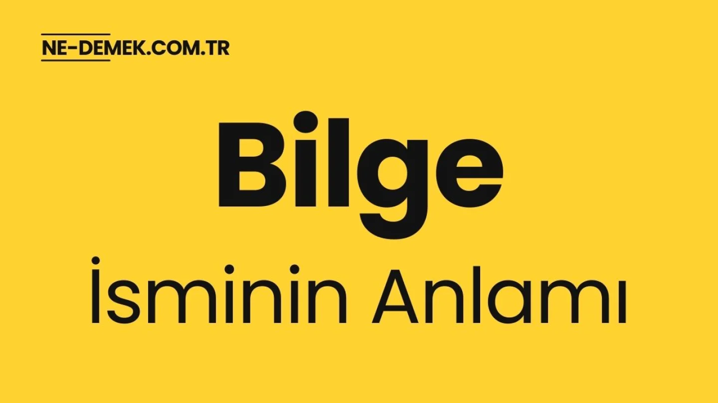 Bilge İsminin Anlamı