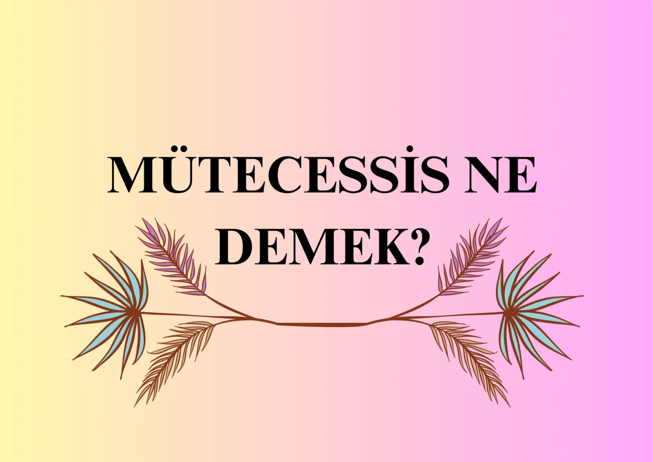 Mütecessis Ne Demek?