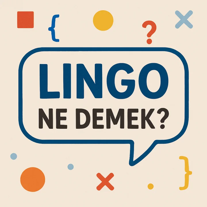 Lingo Ne Demek?