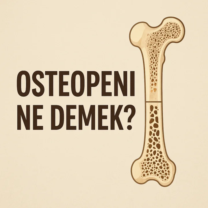 Osteopeni Ne Demek?
