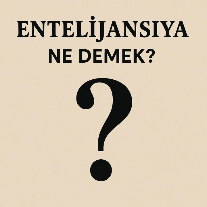 Entelijansiya Ne Demek?