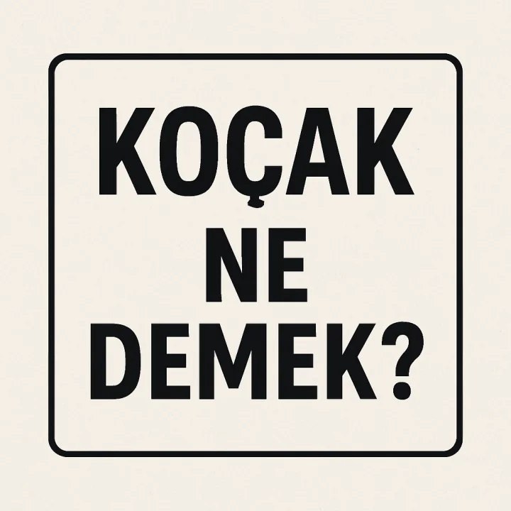 Koçak Ne Demek?
