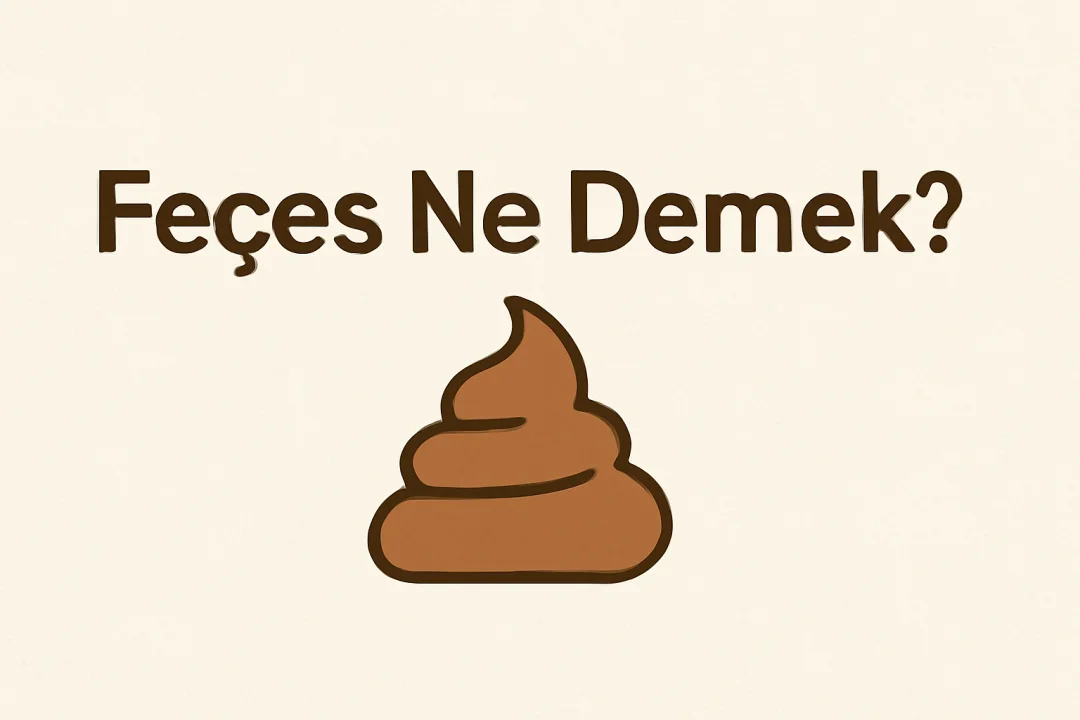 Feçes Ne Demek?