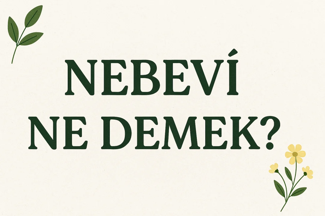 Nebevi Ne Demek?