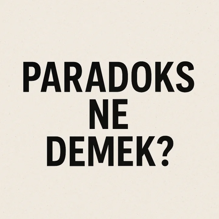 Paradoks Ne Demek?
