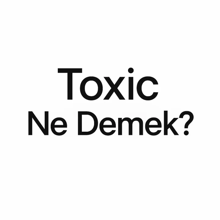 Toxic Ne Demek?