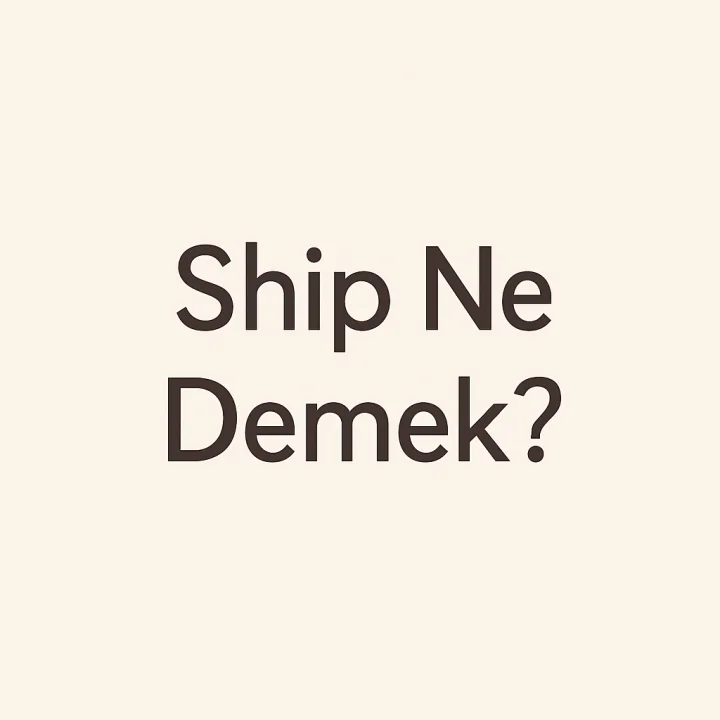 Ship Ne Demek?