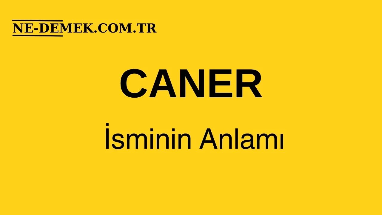 Caner Ne Demek?