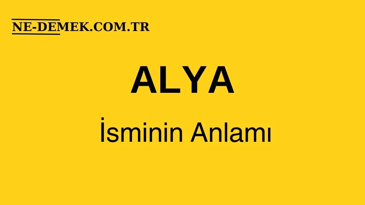 Alya İsminin Anlamı Nedir?