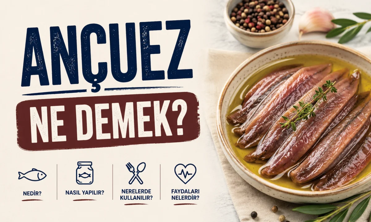 Ançuez Ne Demek?