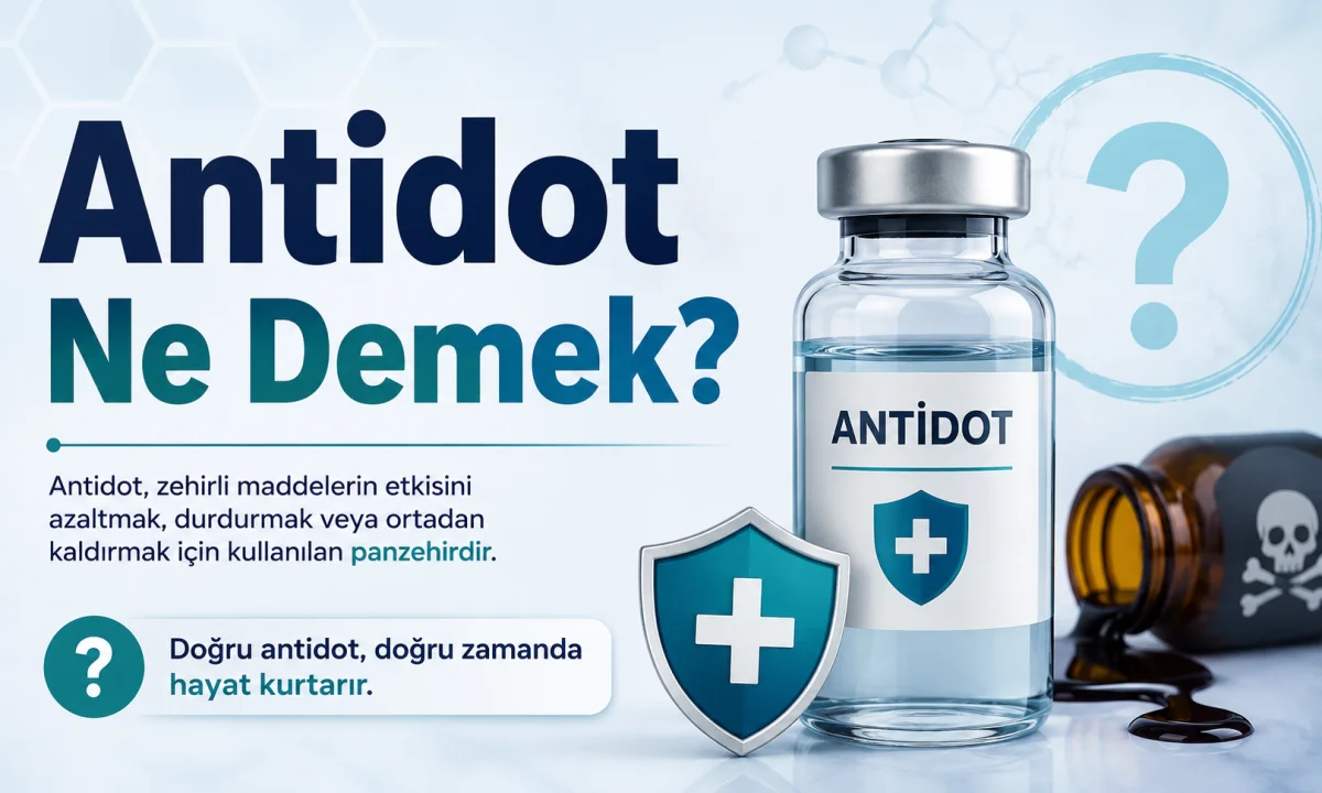 Antidot Ne Demek?