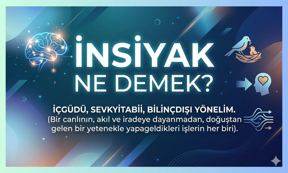 İnsiyak Ne Demek?